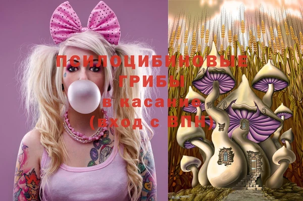 стафф Алзамай