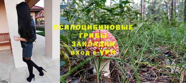 ПСИЛОЦИБИНОВЫЕ ГРИБЫ Абинск